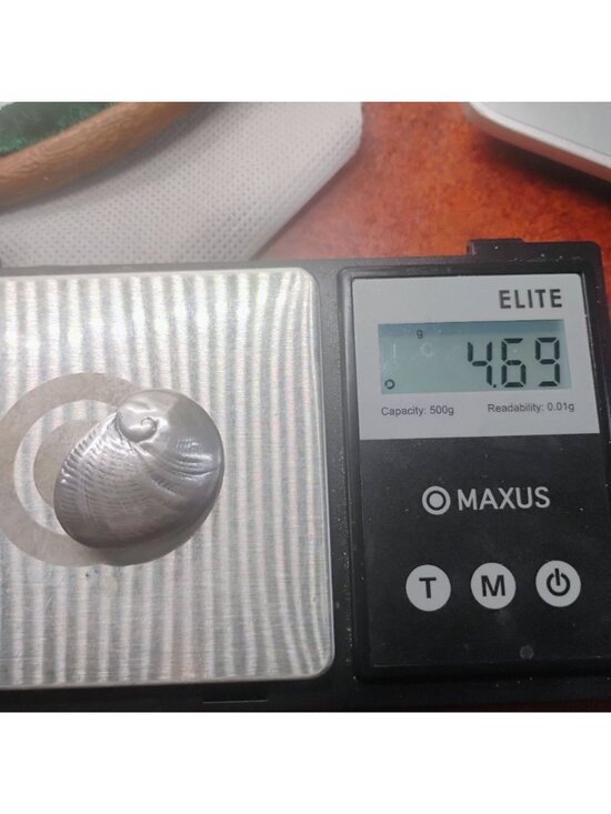 Vtg Mignon Faget Nautilus Shell Baby's Ear Pendant Sterling Silver on Silk Cord - Picture 7 of 7